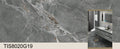 TIS8020G19 - Sintered Stone 800*2000*12mm Glossy