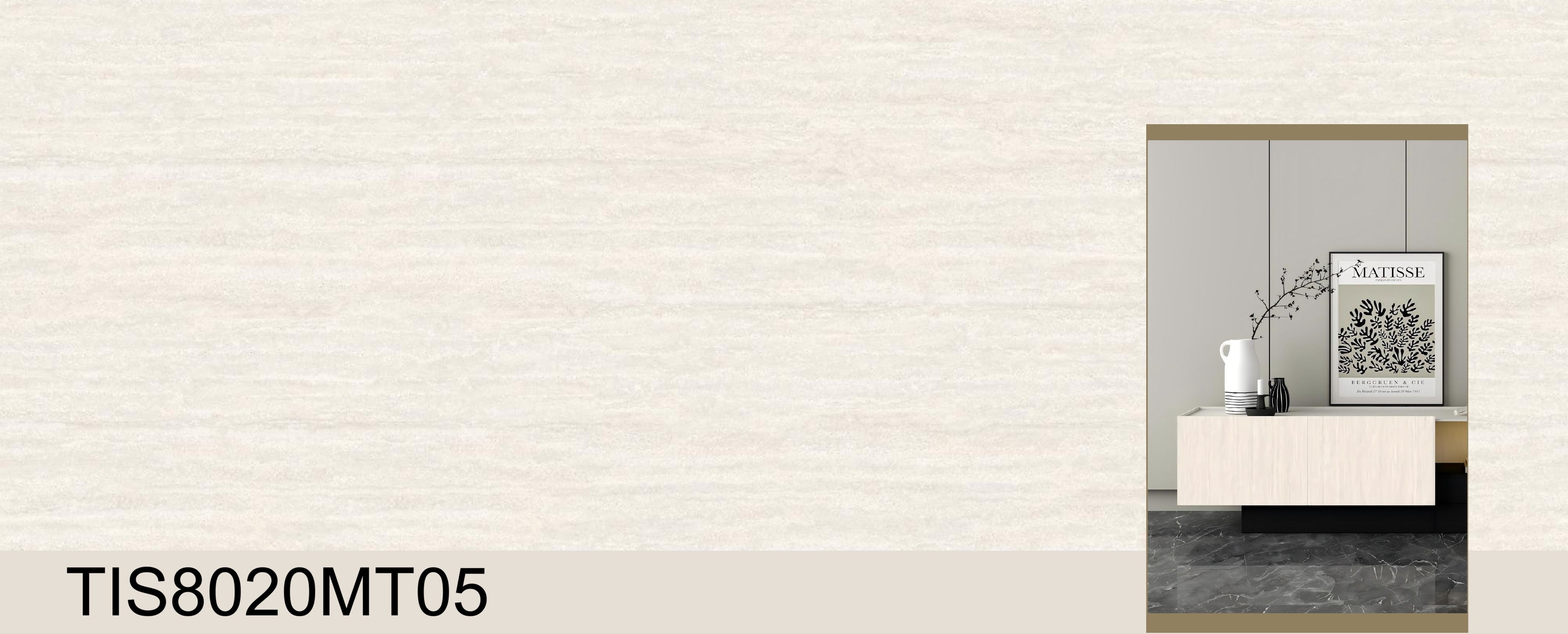 TIS8020MT05 - Sintered Stone 800*2000*12mm Matte
