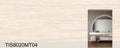 TIS8020MT04 - Sintered Stone 800*2000*12mm Matte