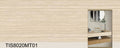 TIS8020MT01 - Sintered Stone 800*2000*12mm Matte