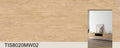 TIS8020MW02 - Sintered Stone 800*2000*12mm Matte